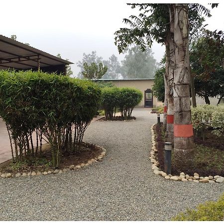 Dr. Sudha'S Ayurveda Hotel Muzaffarnagar ภายนอก รูปภาพ